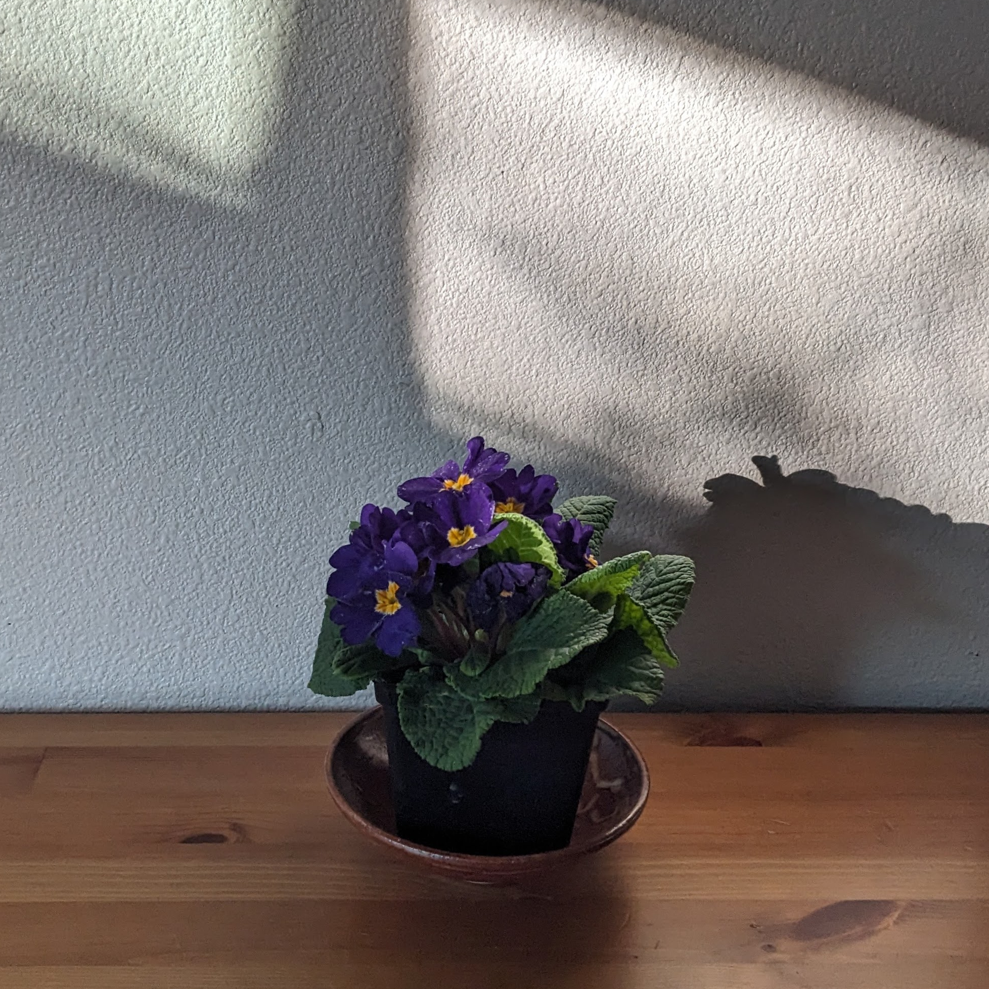 In Praise of Small Things